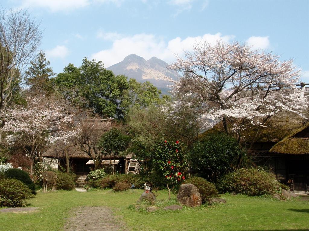 Yufuin Kotobuki Hananosho Pokój zdjęcie
